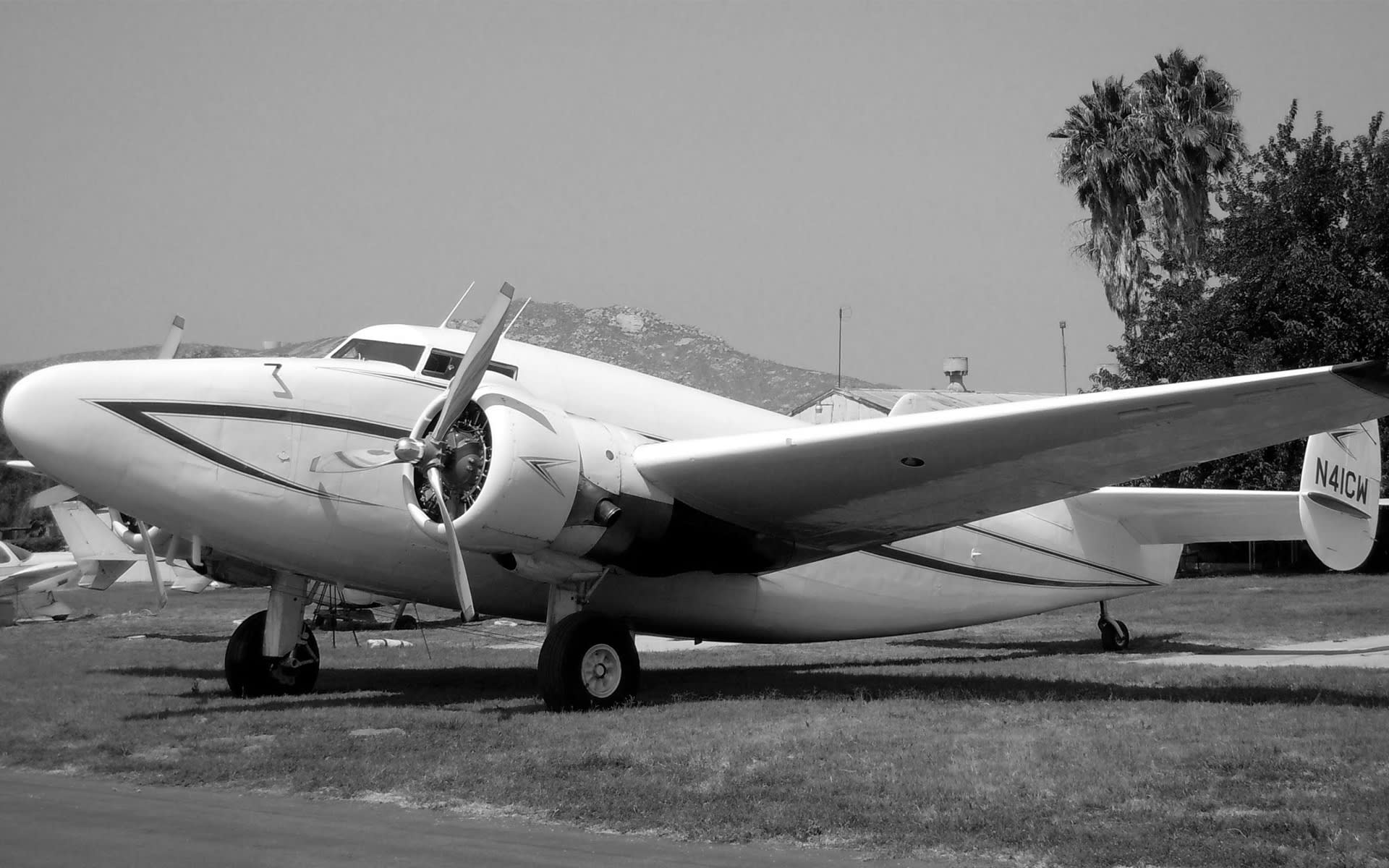beatrice fajardo recommends Plane Orgy