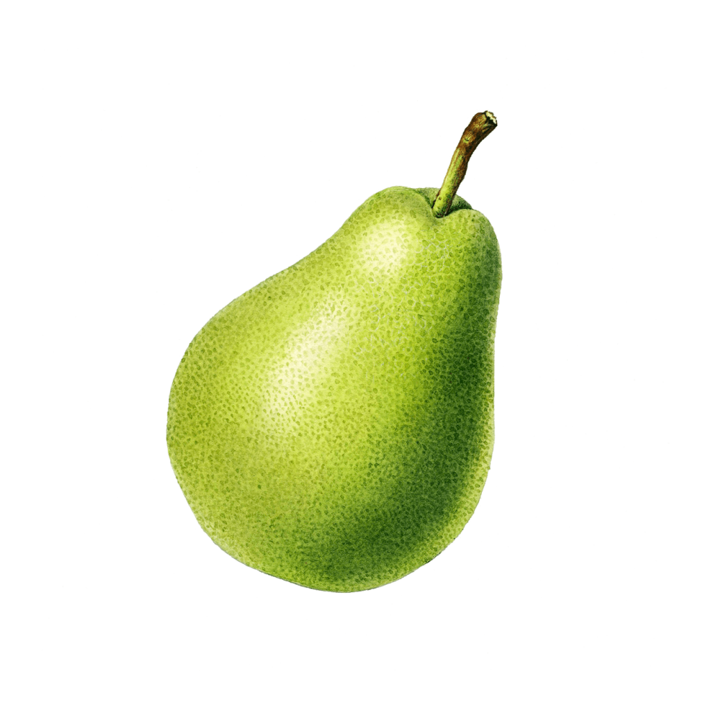 carmina padolina like pear alexa photo brenda faw recommends ariella ferrera danny d pic