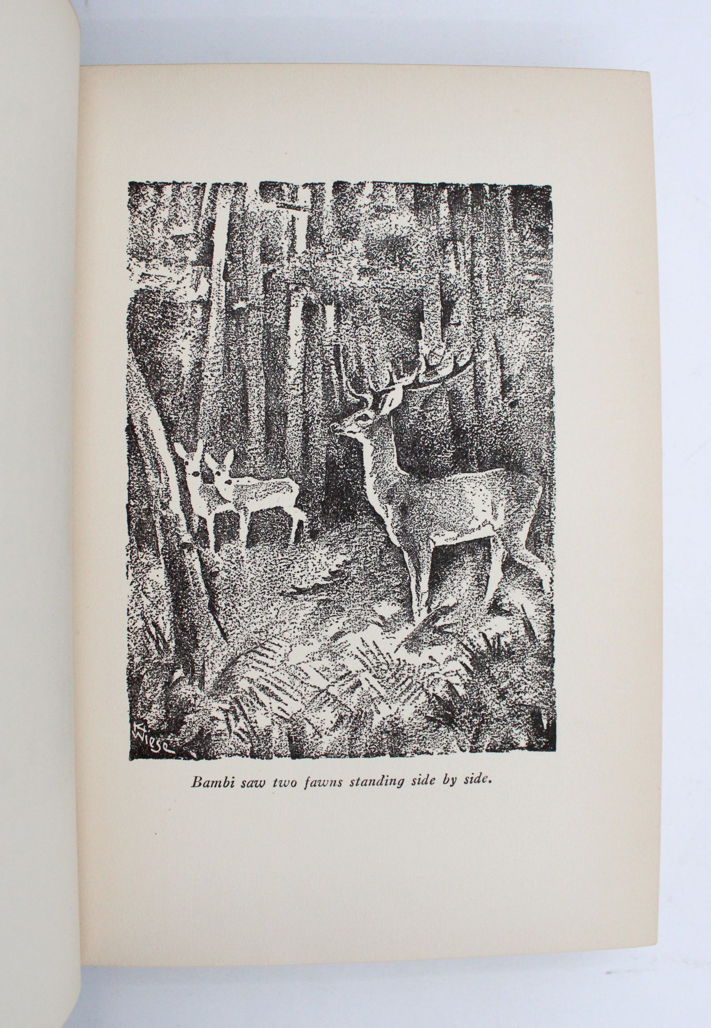 Best of cohen mckinnon's gallery eva notty stockings allison schonknecht add photo bambi cummins