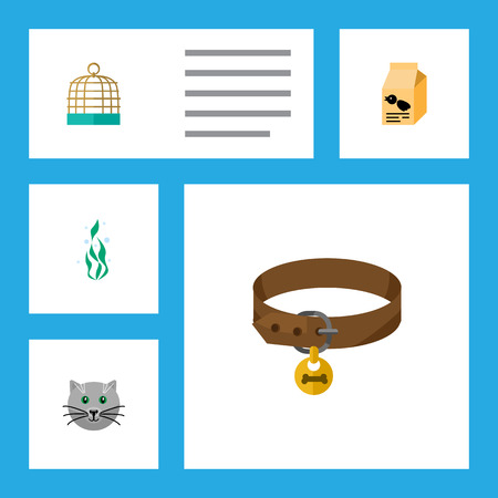 denise bell miller recommends Objects In Pussies