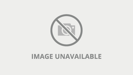 angelica campos recommends june liu porn carla sanford add june liu porn photo