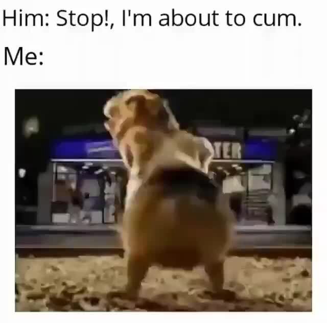 charlotte palm like im about to cum photo bird free recommends im about to cum pic