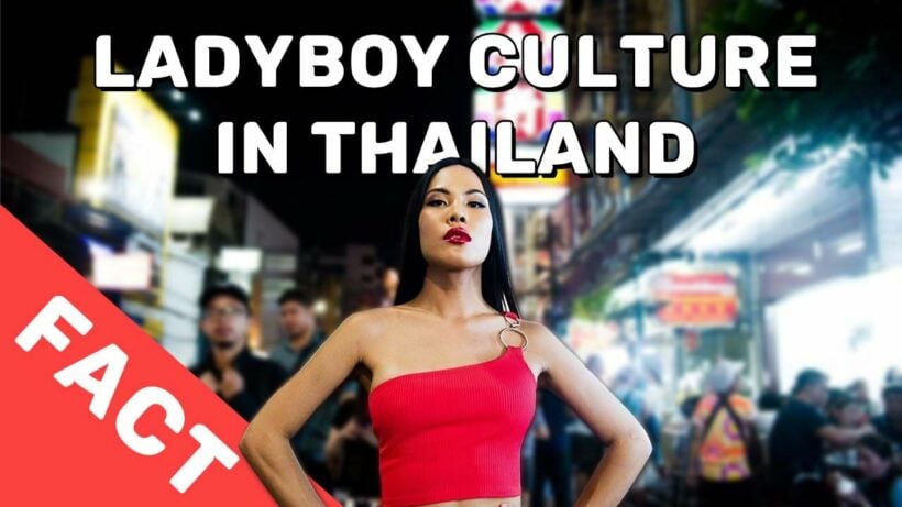 hot thai ladyboys naked cock hot thai ladyboys