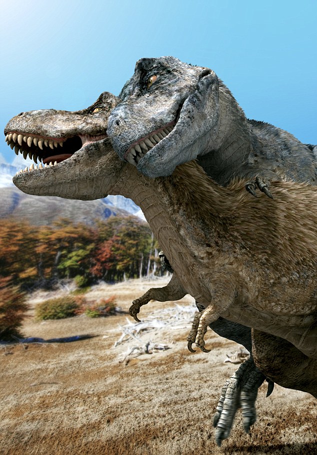 free porn dino - ministallion anal asstraffic com