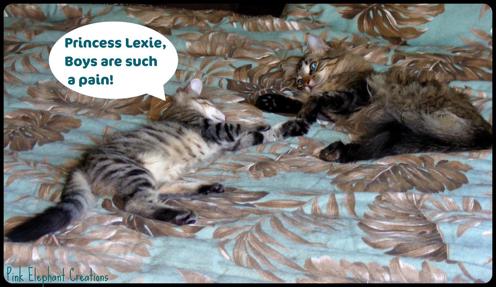 christine beavis recommends princess leixe pic