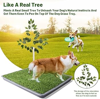 brian goracke like outdoor pee video photo burim mustafi recommends outdoor pee video pic