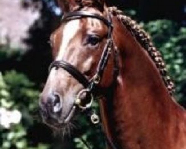 Riwww nude tisch ficken Damita Rider until dawn