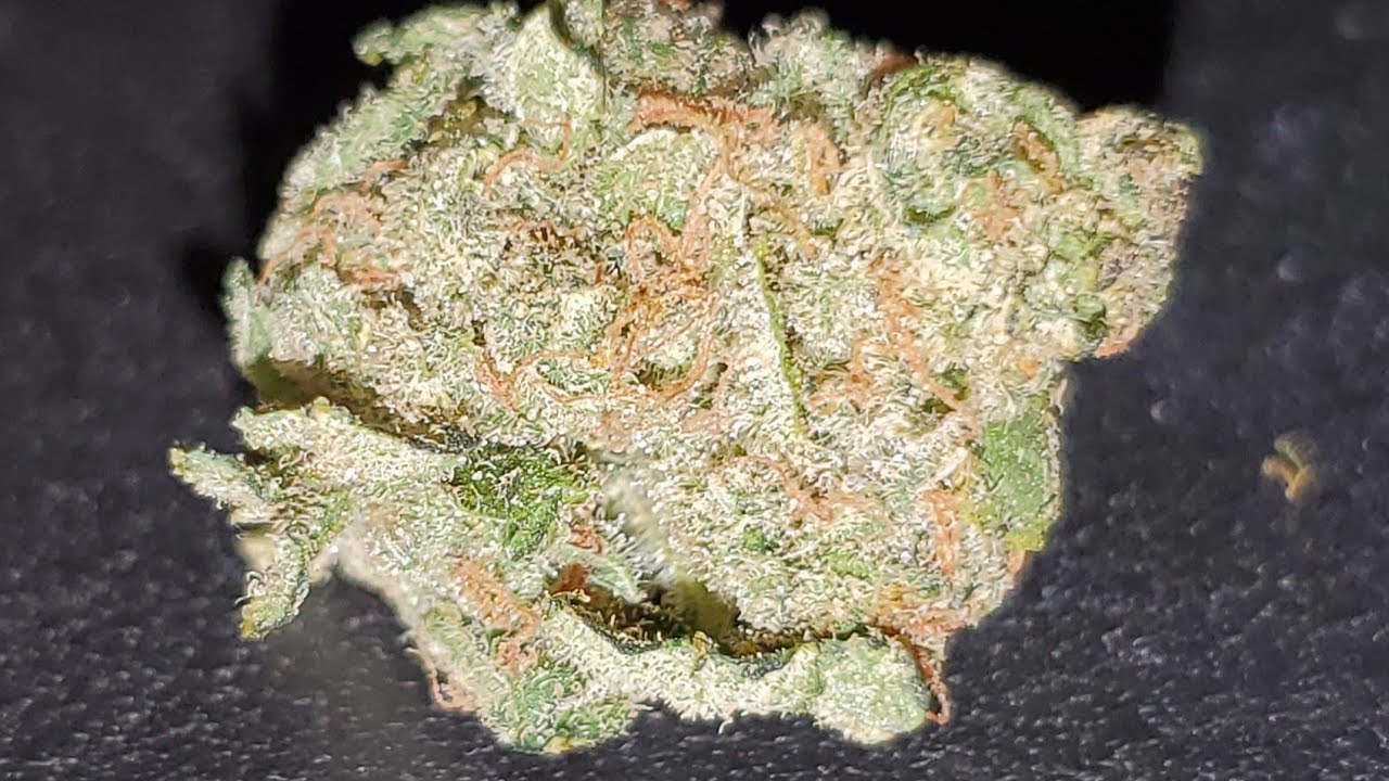 corruption strain - the bad guys porn uncensored train grope