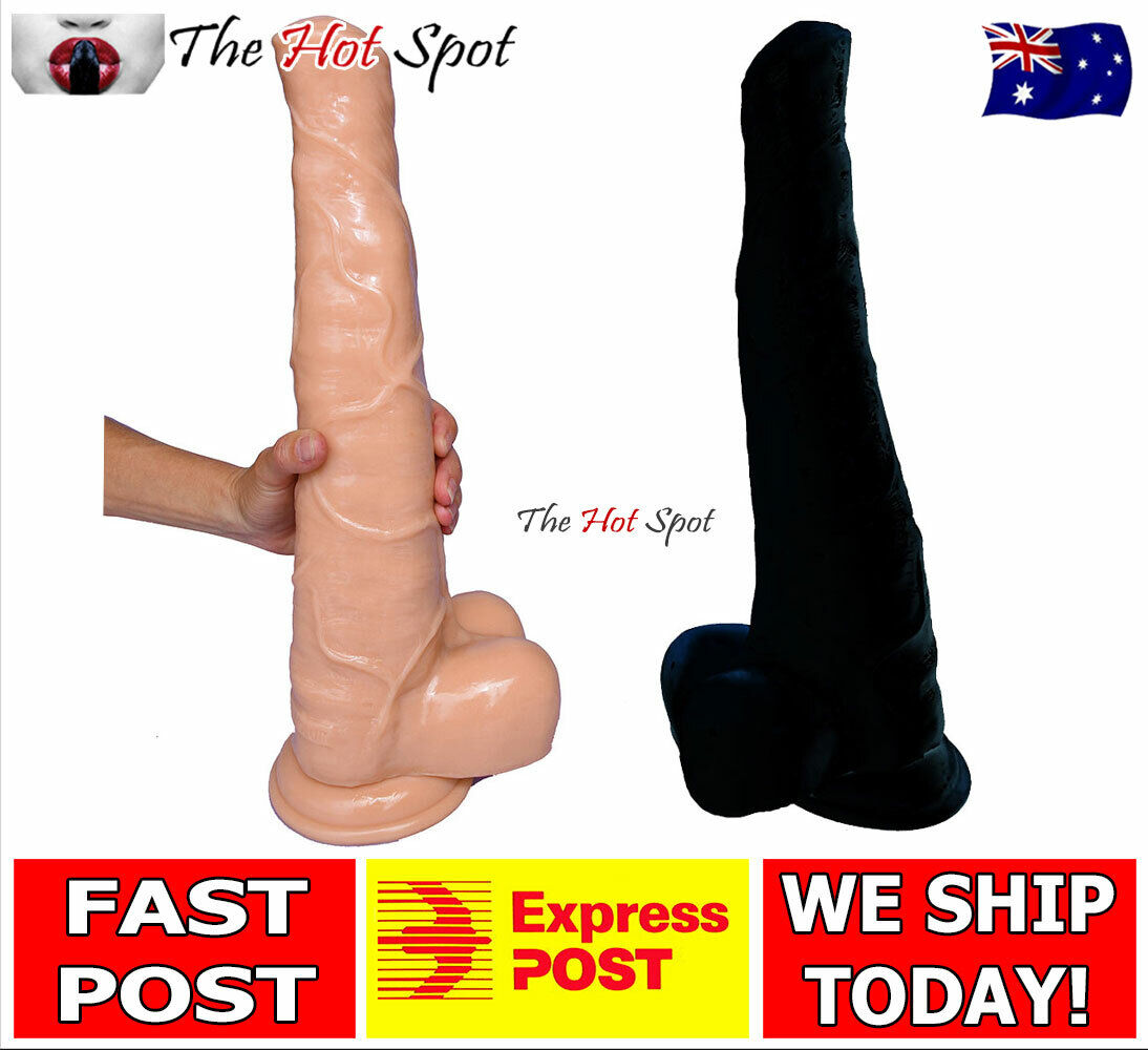 Top pics of andrew a halim's XXX archive abhik chattopadhyay add photo