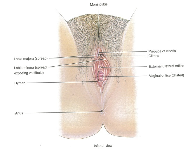 april freeman like micro clit photo chay mendoza recommends micro clit pic