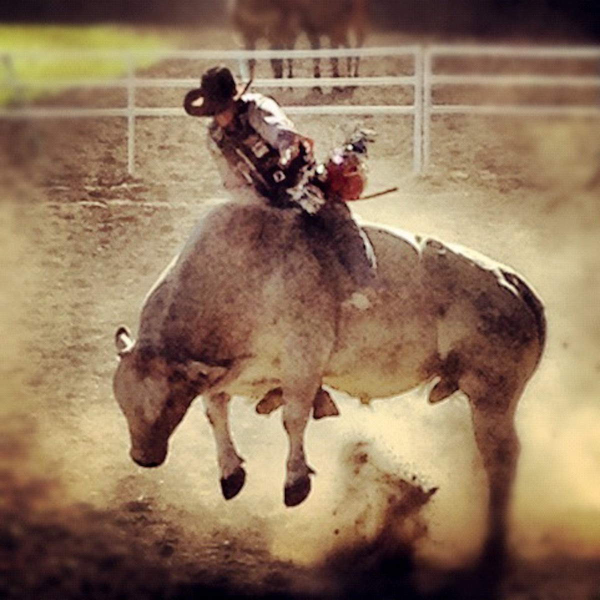 nude bull riding - belle dellphine porn iceporncasting channels