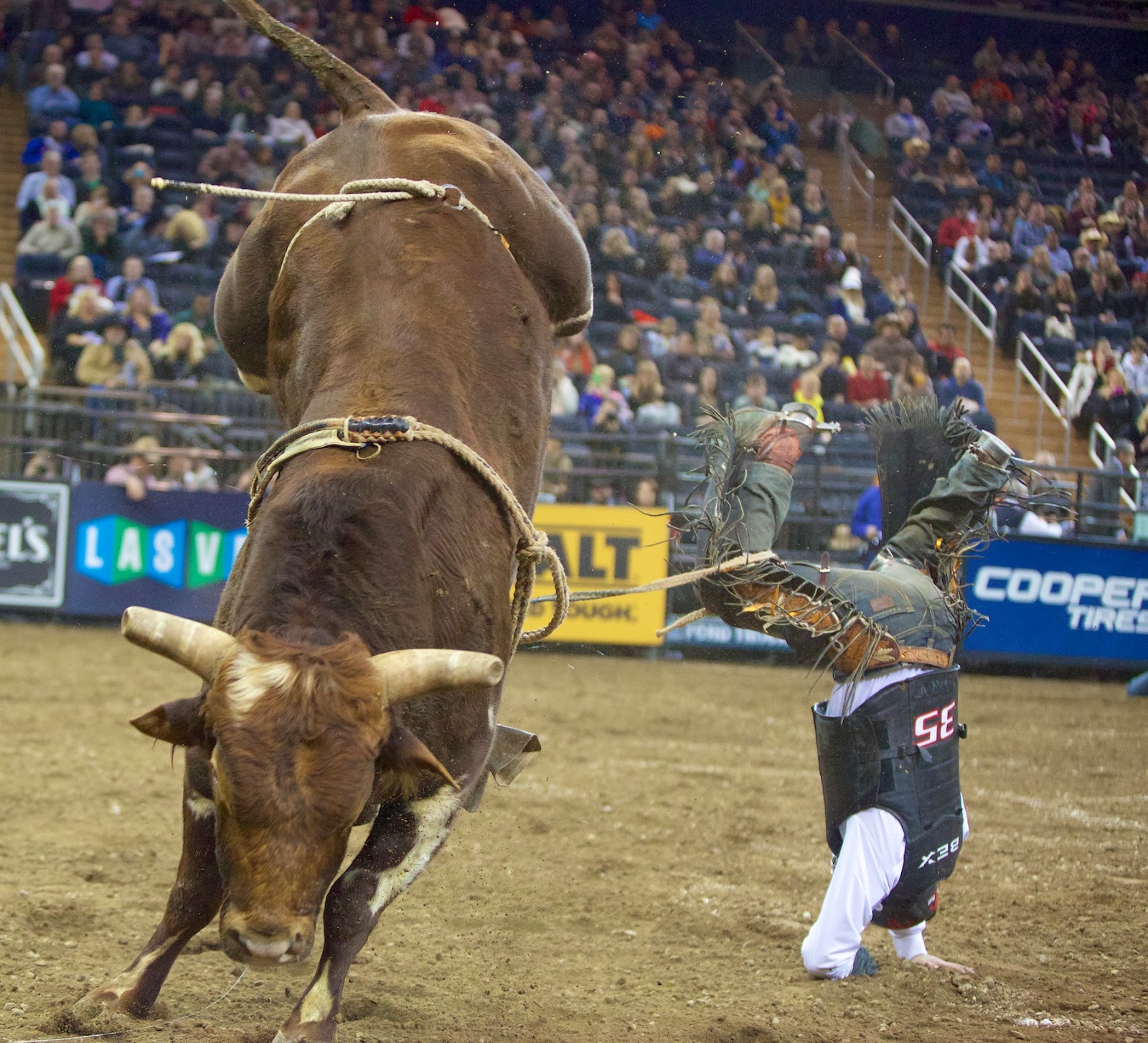 nude bull riding - playboy tv free j cup boobs