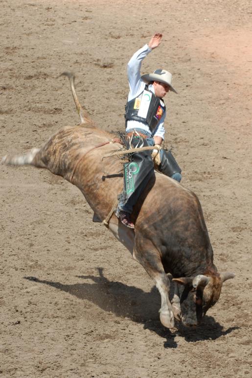 nude bull riding - beach anime porn india summers nude