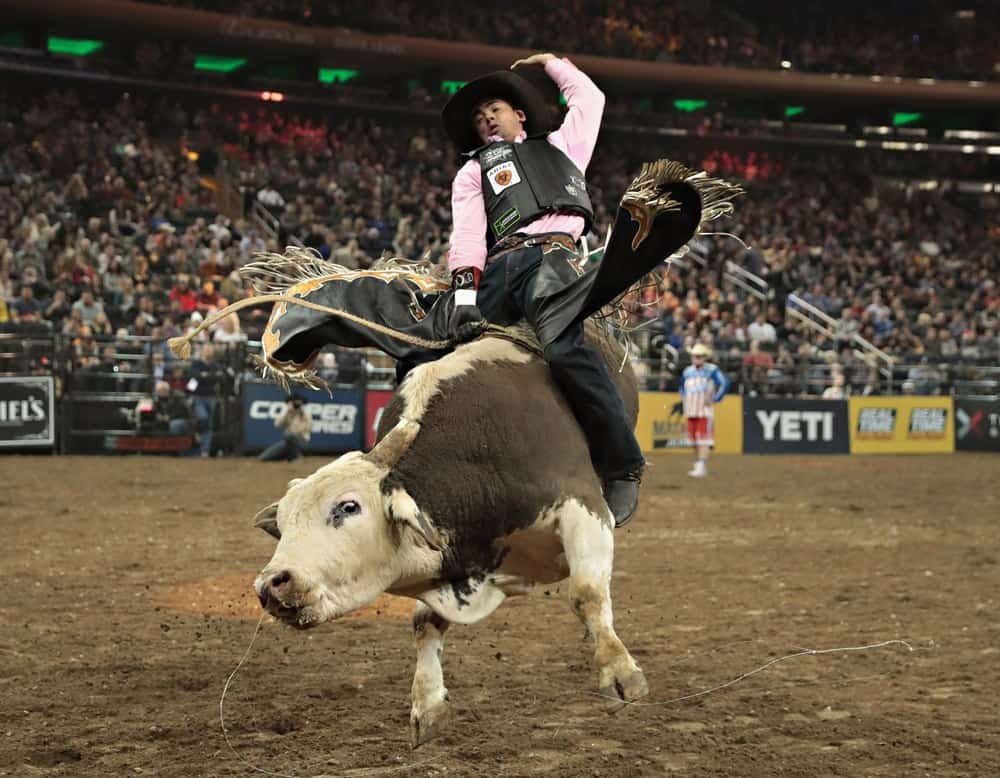 nude bull riding - marisa tomei pussy mexican teenporn