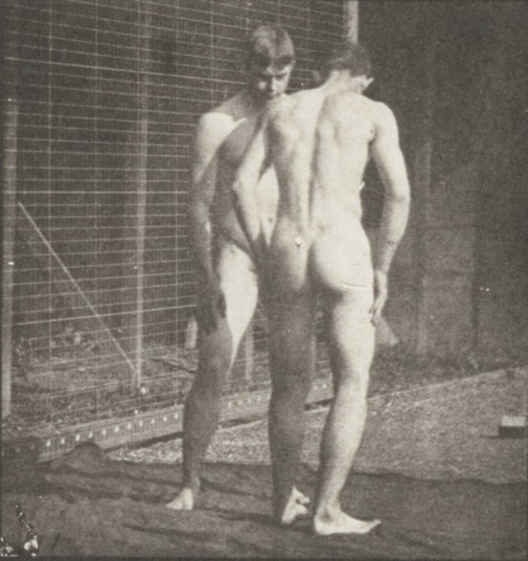don manning miller recommends Roma Nude