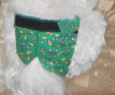 beatriz blanca barttolotti like xxxs panties photo concetta amore recommends xxxs panties pic